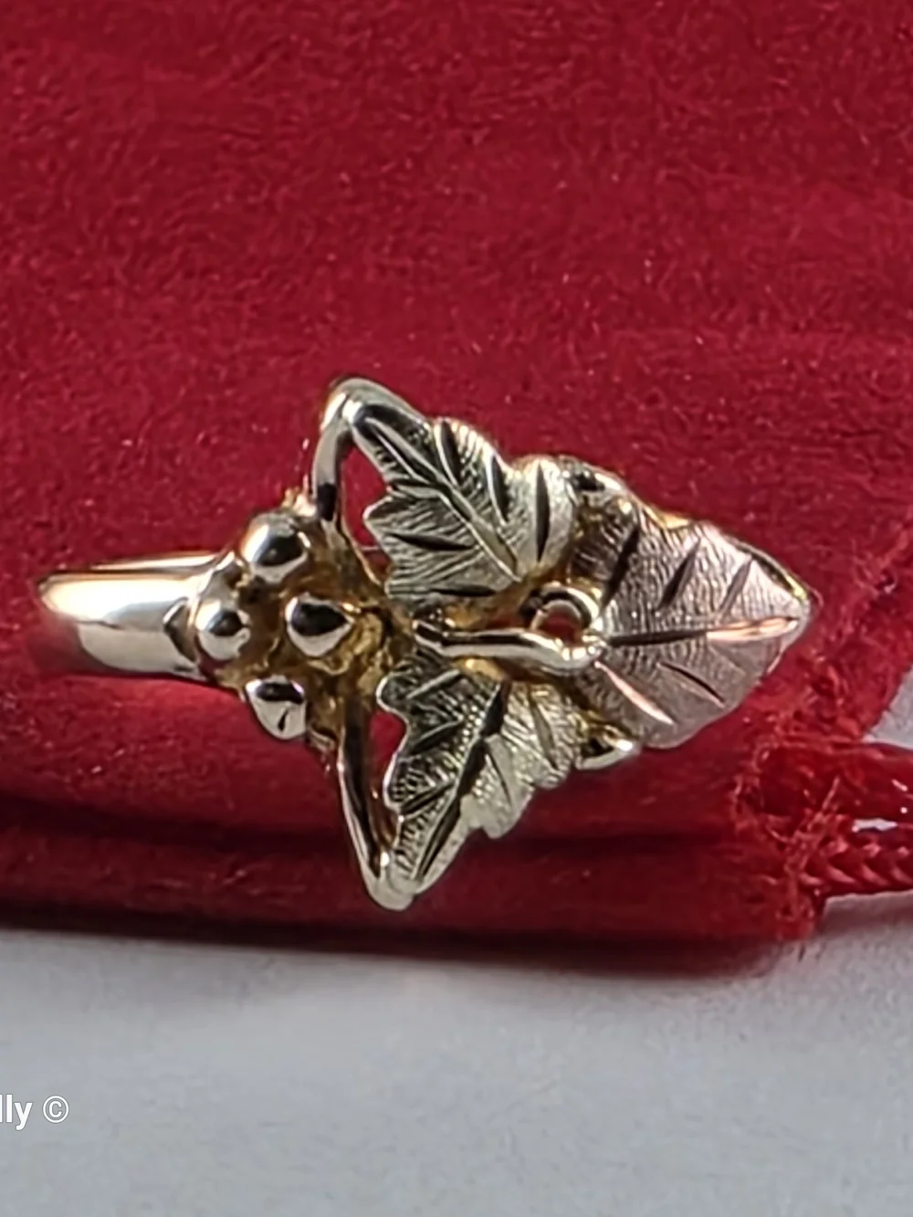 10K Yellow and Rose Gold Black Hills Leaves Ring Size 3, Solid Gold! 👌🎁